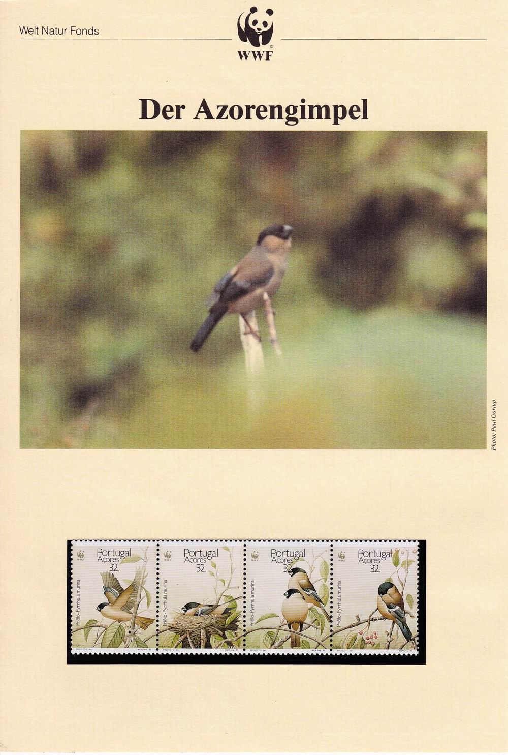 (image for) WWF Portugal 1990 Fdc Maxi Cards & Stamps Bullfinch Birds