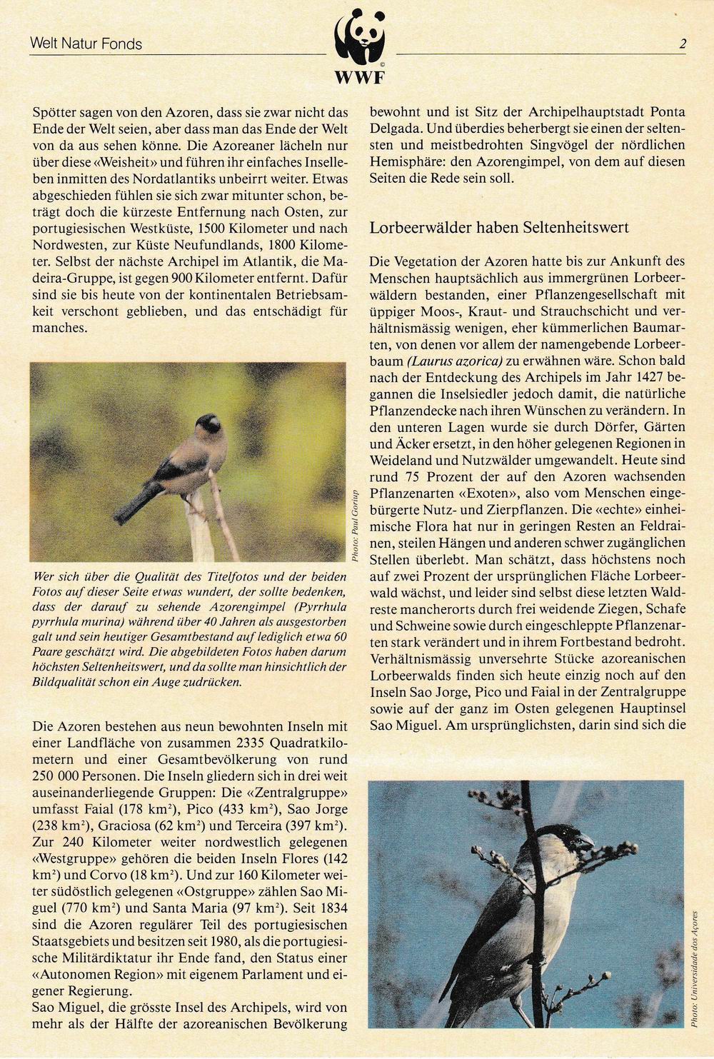 (image for) WWF Portugal 1990 Fdc Maxi Cards & Stamps Bullfinch Birds