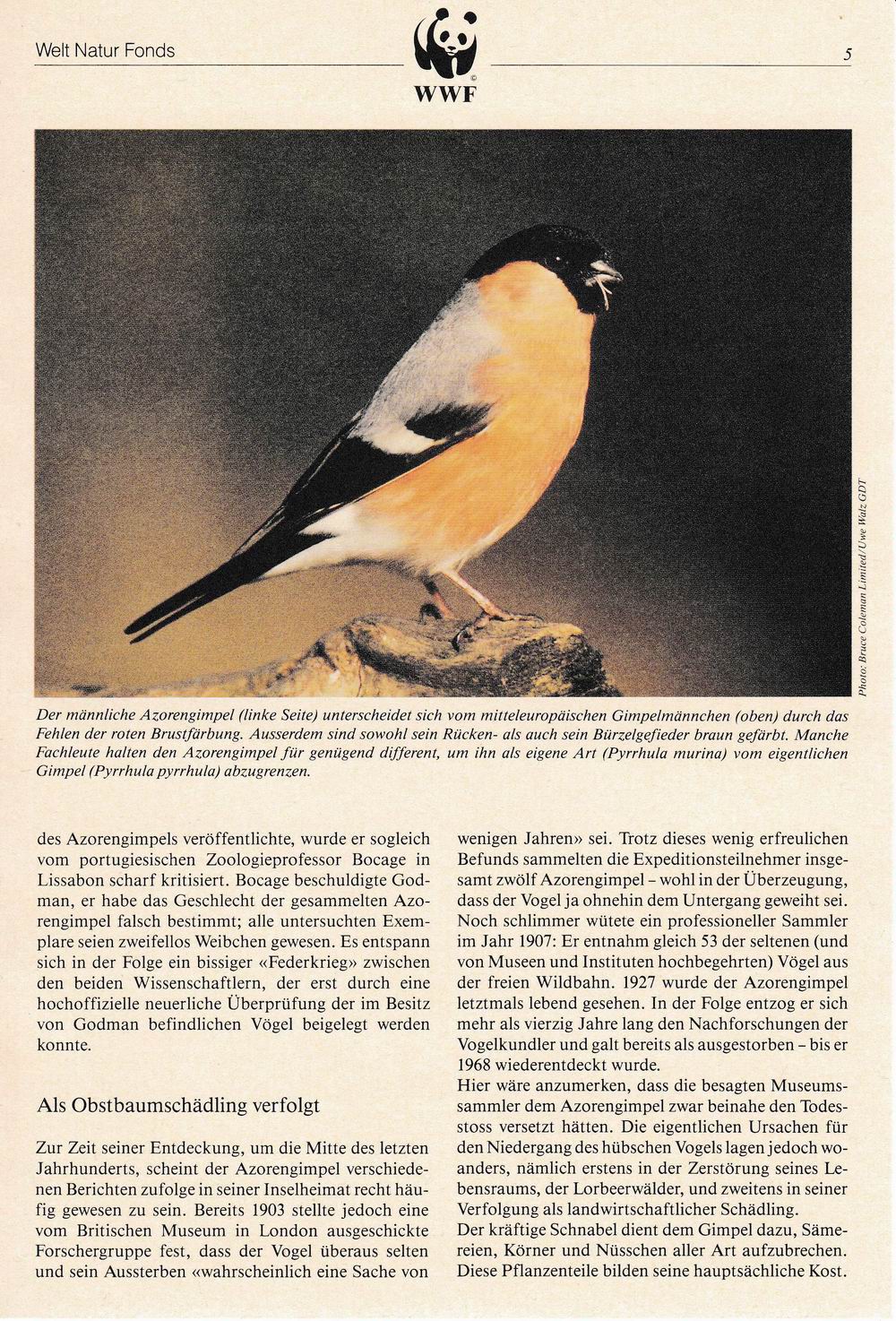 (image for) WWF Portugal 1990 Fdc Maxi Cards & Stamps Bullfinch Birds