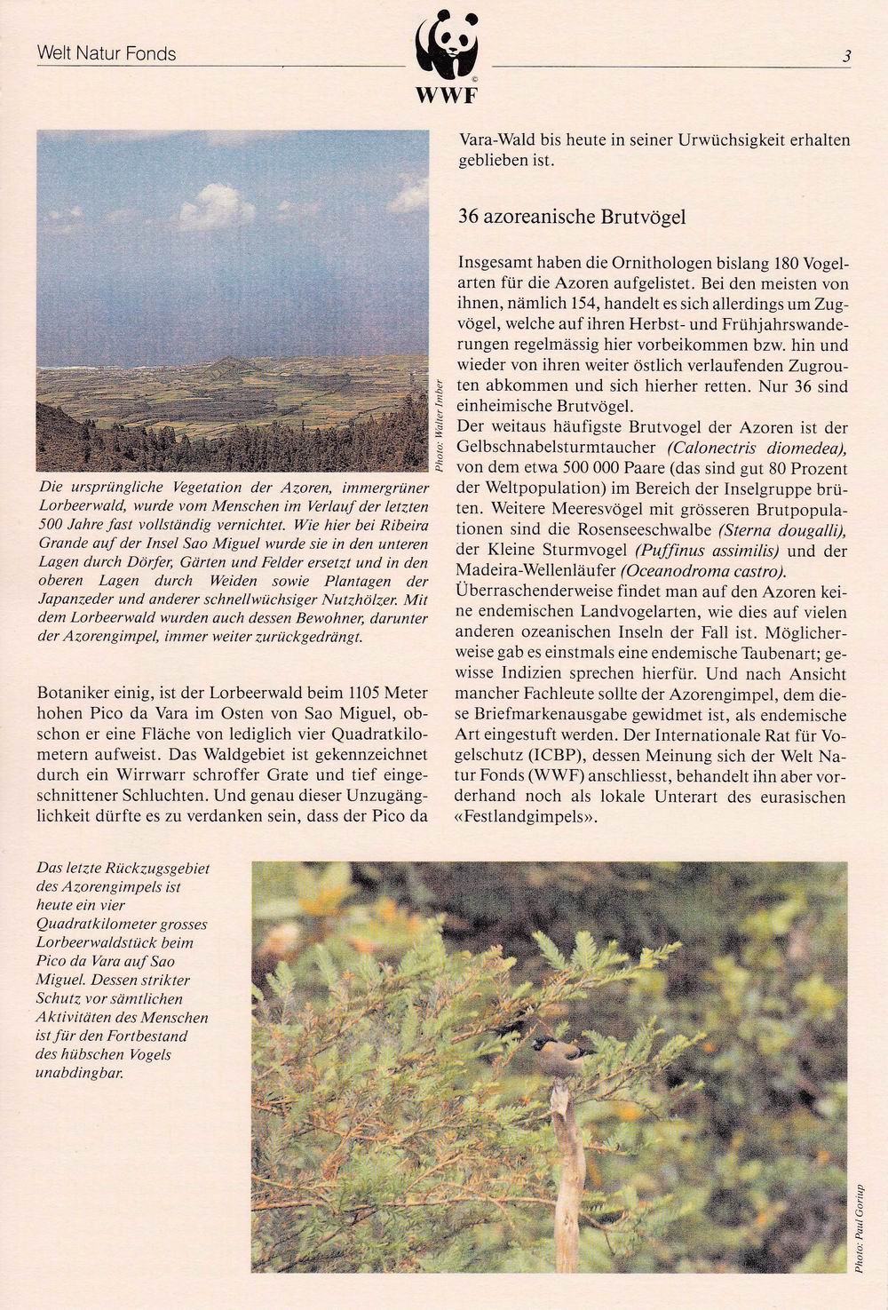(image for) WWF Portugal 1990 Fdc Maxi Cards & Stamps Bullfinch Birds