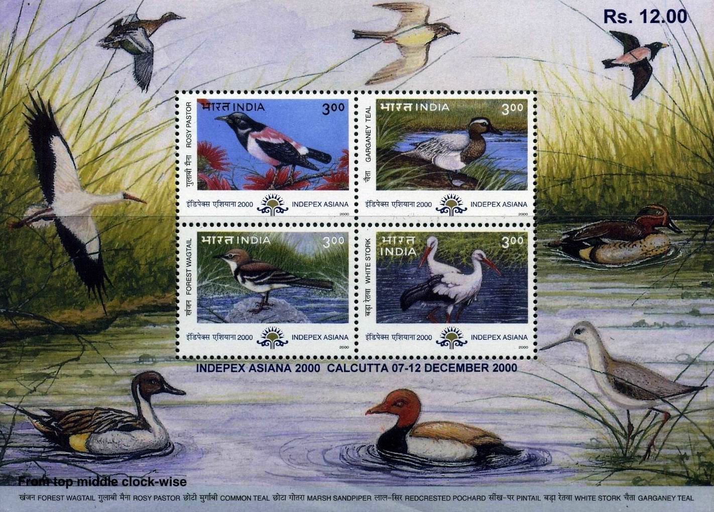 (image for) India Stamps 2000 S/Sheet Migratory Birds 4v Set MNH