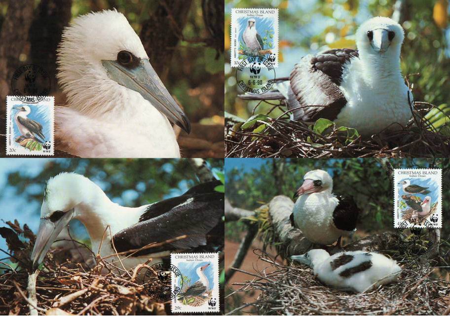 (image for) WWF Christmas 1990 Maxi Cards Booby Birds