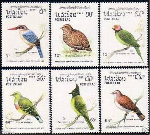 Afghanistan 1985 S/Sheet Stamp Birds Parrots - Click Image to Close
