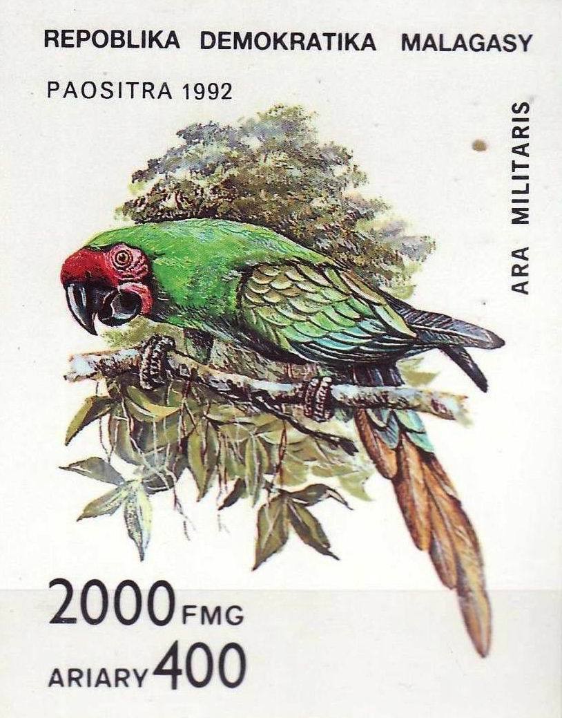 (image for) Malagasy 1993 S/Sheet & Stamps Parrots Corner Block