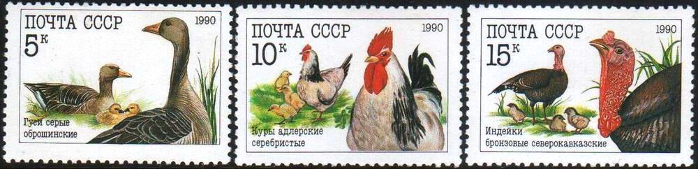 (image for) Russia 1990 Stamps Birds Of Russia Rooster Ducks Turkey MNH