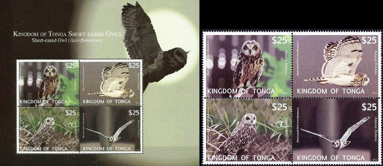 (image for) Tonga 2012 S/Sheet & Stamps Short Eared Owls MNH