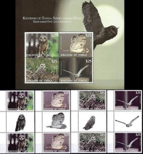 (image for) Tonga 2012 S/Sheet & Stamps Short Eared Owls MNH