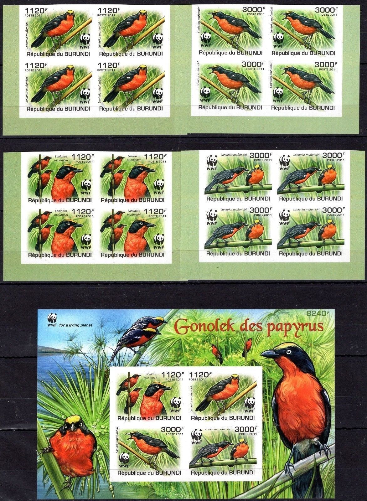 (image for) WWF Burundi 2011 Imperf S/Sheet & Stamp Birds MNH