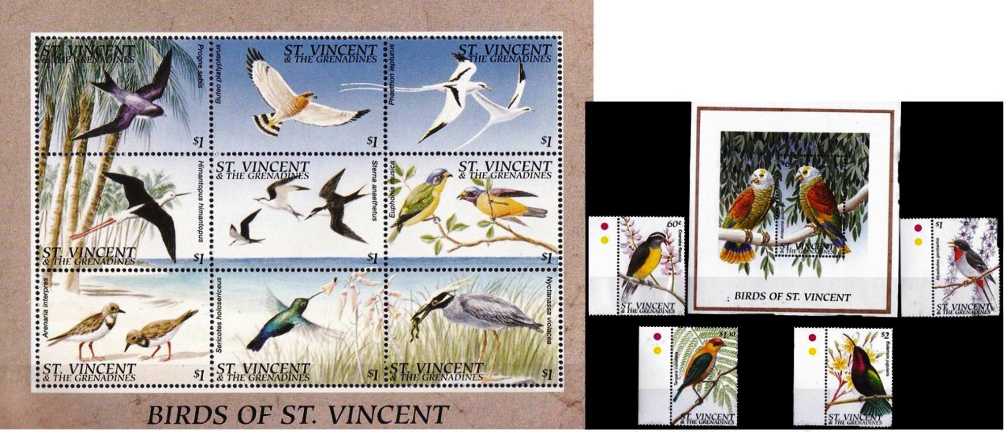 (image for) St Vincent 1996 Stamps Birds Of St Vincent