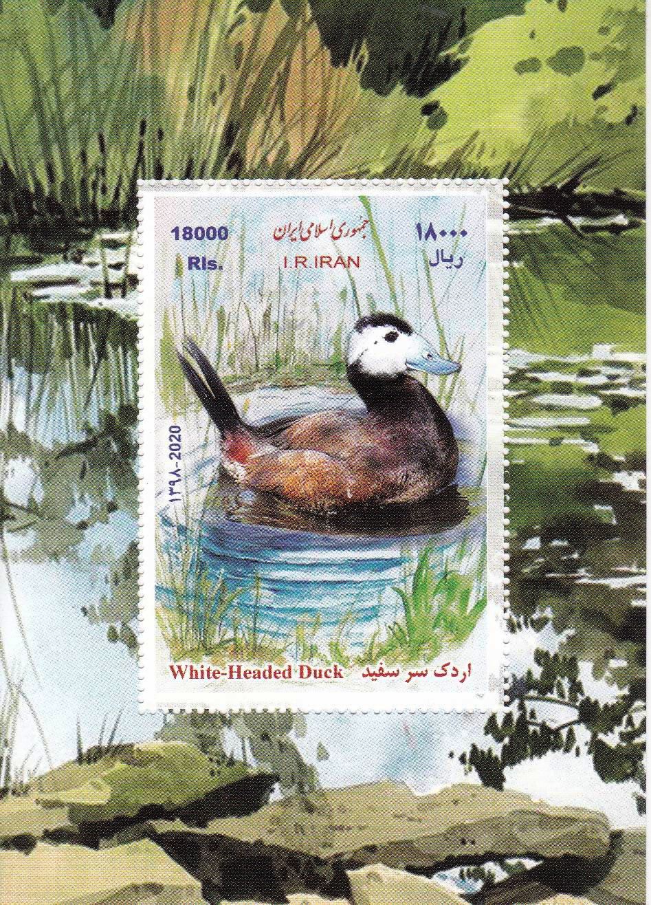 (image for) Iran 2020 S/Sheet White Headed Duck