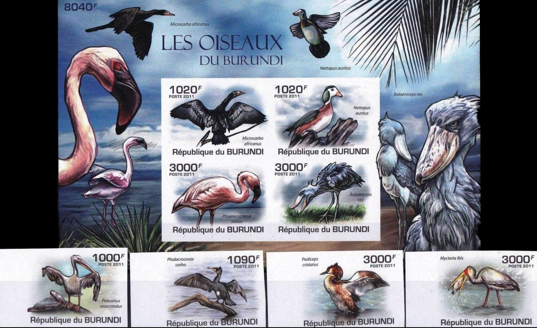 (image for) Burundi 2011 S/Sheet & Stamp Imperf Birds Flamingos & Pelicans