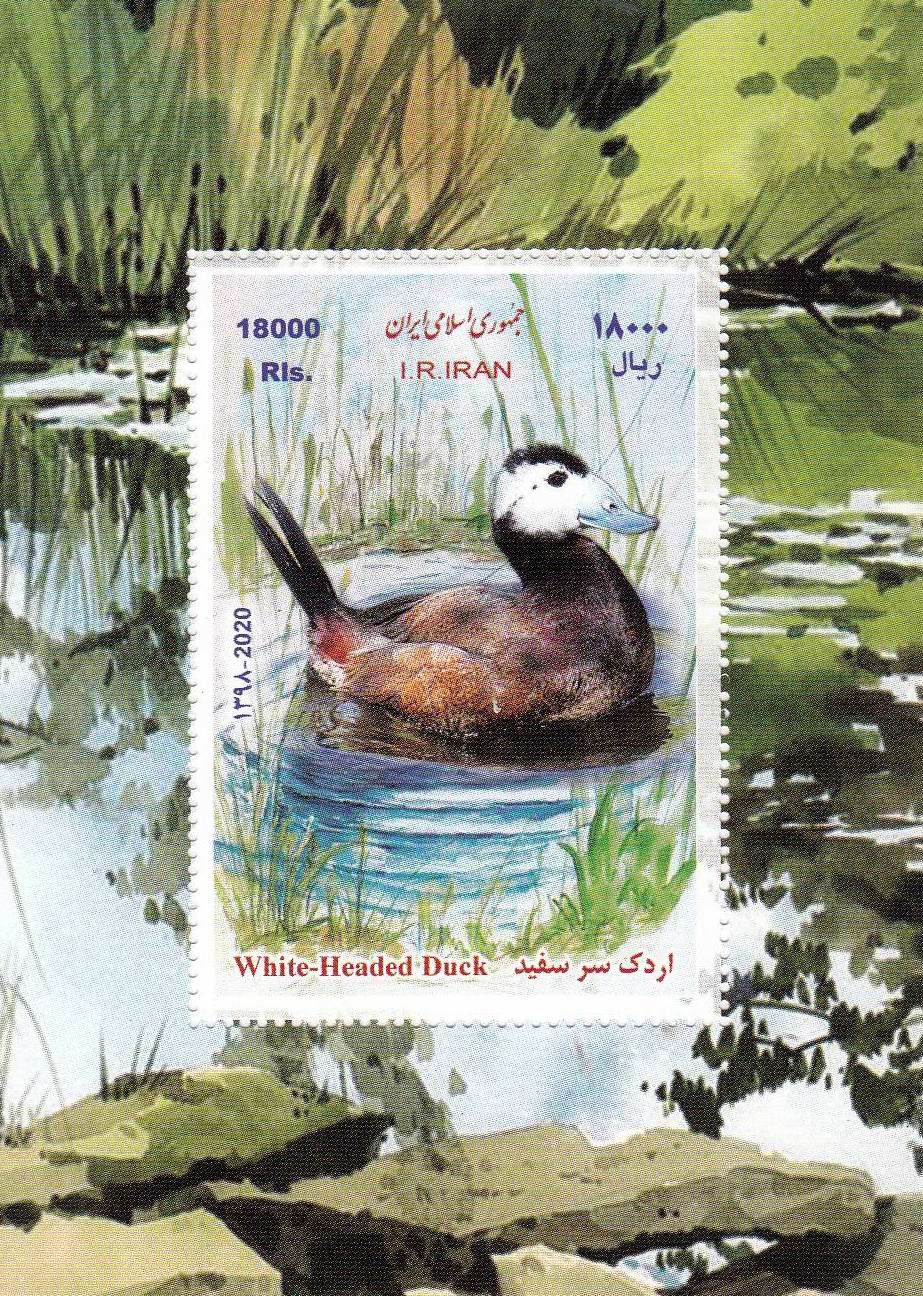 (image for) Iran 2020 S/Sheet Stamp White Headed Duck MNH