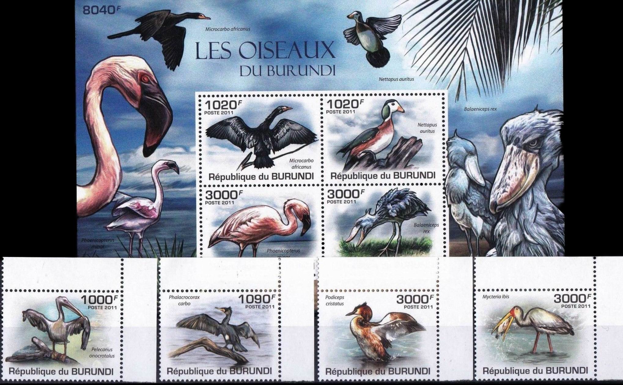 (image for) Burundi 2011 S/Sheet & Stamps Birds Flamingos & Pelicans Etc MNH