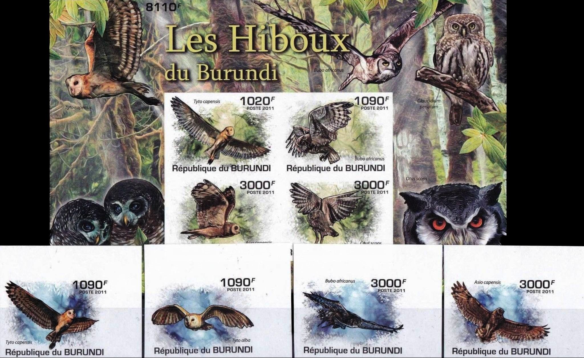 (image for) Burundi 2011 S/Sheet & Stamps Imperf Birds Of Prey Owls MNH