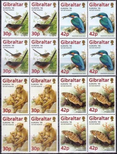 (image for) Gibraltar 1999 Stamps Nature Reserves Kingfisher Bird Fishes