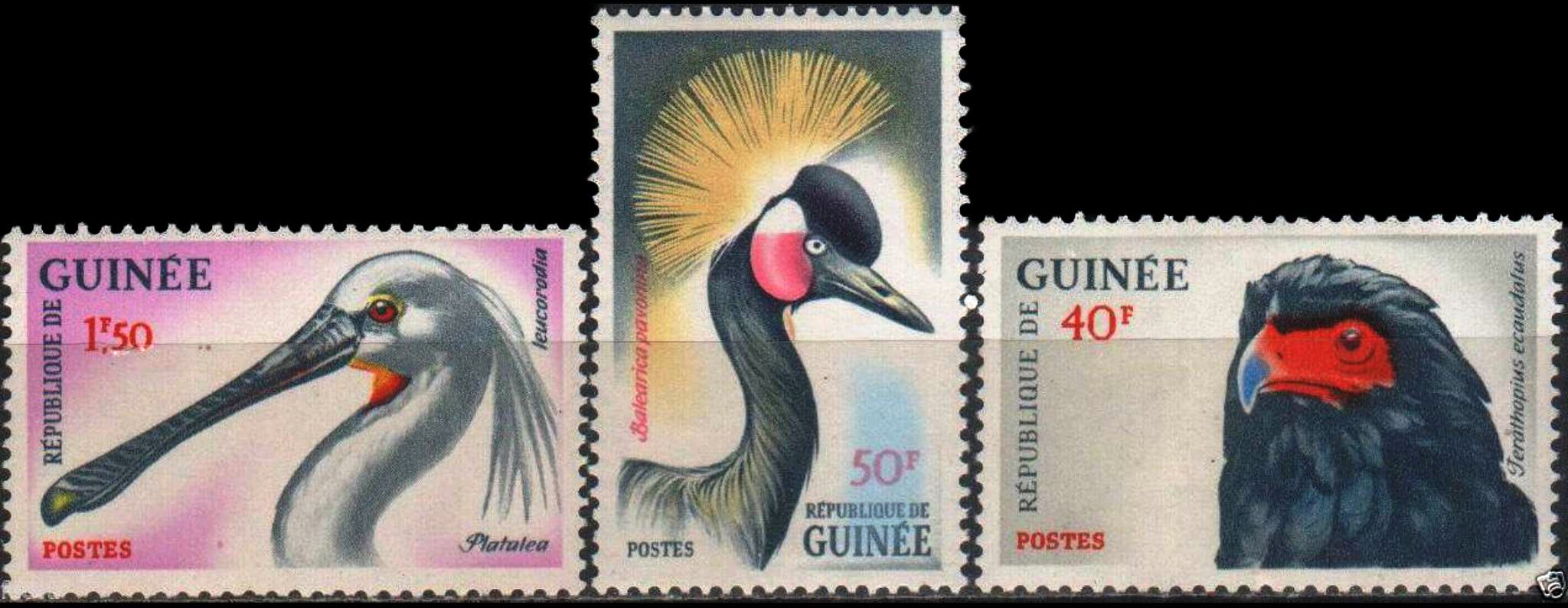 (image for) Guinee 1962 Stamps Birds