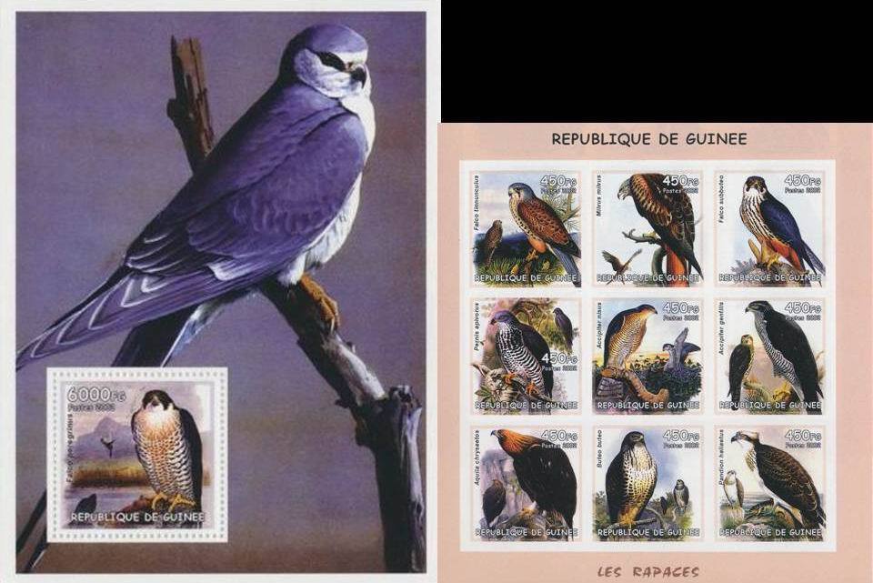 (image for) Guinee 2002 S/Sheet Stamps Birds of Prey Falcons MNH