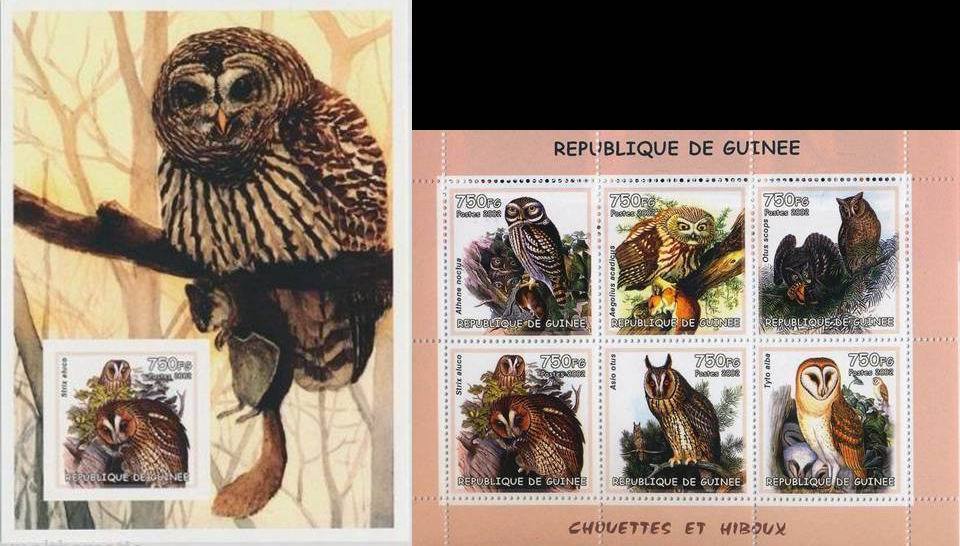 (image for) Guinee 2002 S/Sheet Stamps Tawny Barn Owls Birds of Prey MNH
