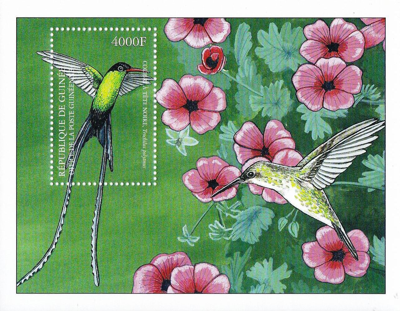 (image for) Guinee 2002 Stamps Hummingbirds Of the Caribbean MNH
