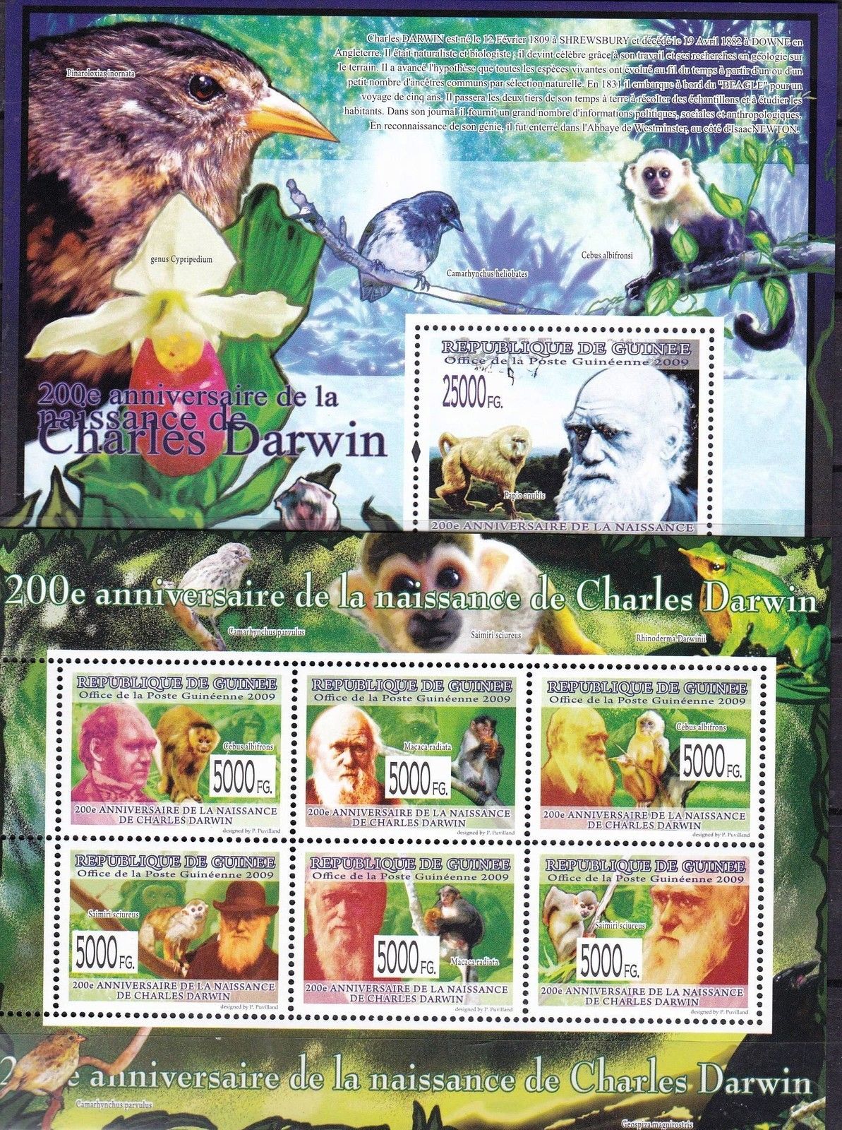 (image for) Guinee 2009 S/Sheet Birds Charles Darwin MNH