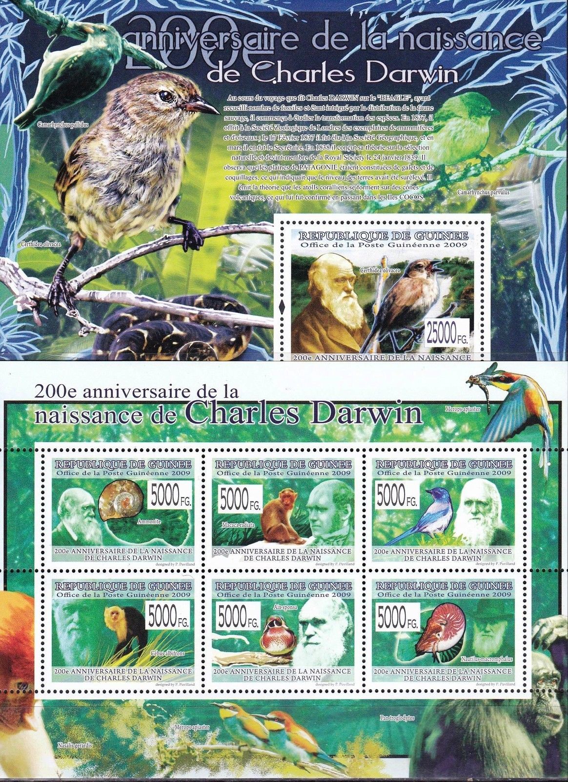 (image for) Guinee 2009 S/Sheet Birds Charles Darwin MNH