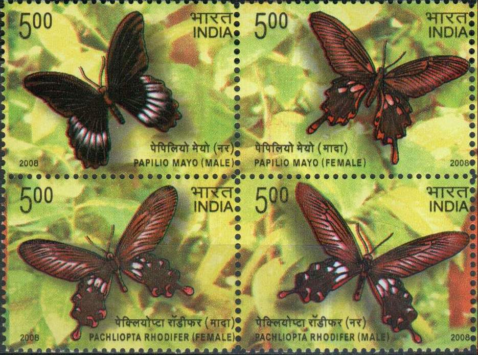 India Fdc 2008 Brochure S/Sheet Stamps Pack Butterflies - Click Image to Close