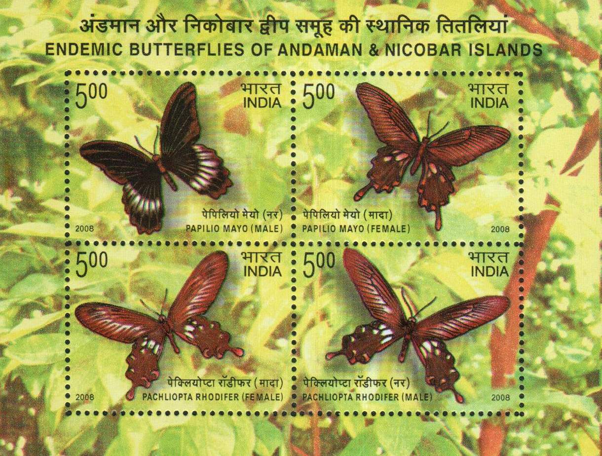 India Fdc 2008 Brochure S/Sheet Stamps Endemic Butterflies - Click Image to Close