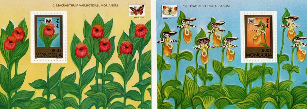 (image for) Mongolia S/Sheet & Stamp Sheets Butterflies & Orchids