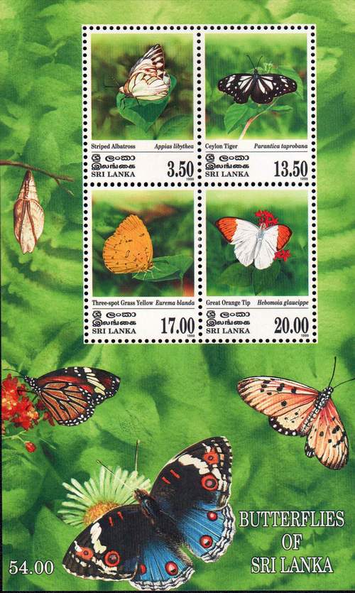 (image for) Sri Lanka 1999 S/Sheet Stamp Butterflies Of Sri Lanka MNH