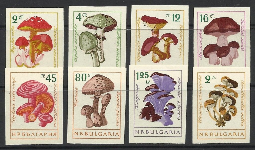 (image for) Bulgaria 1961 Stamps Imperf Mushrooms