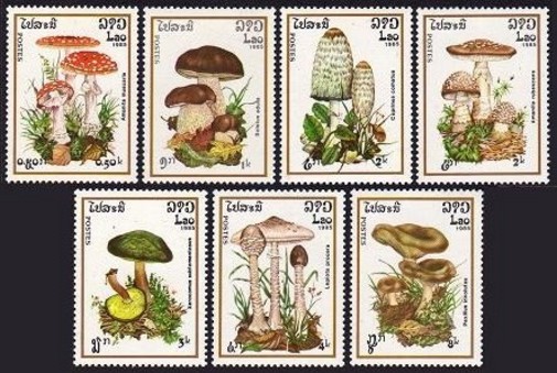 (image for) Laos 1985 Stamps Mushrooms MNH