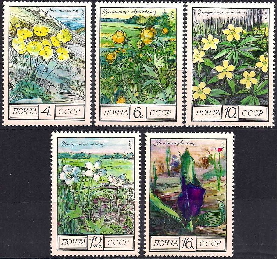 (image for) Russia 1975 Stamps Regional Flowers MNH
