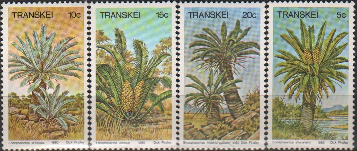 (image for) Transkei 1980 Stamps Palm Trees MNH