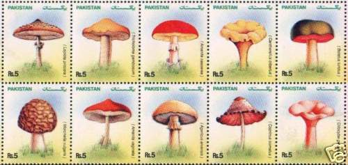 (image for) Pakistan 2005 Stamps Mushrooms Medicinal Plants