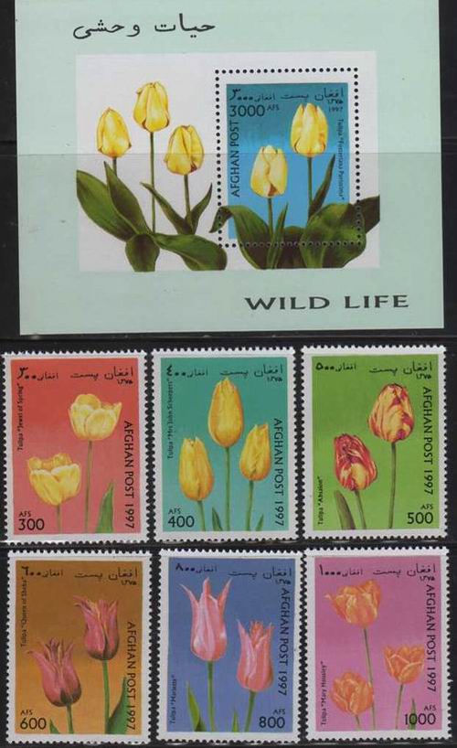 (image for) Afghanistan 1997 S/Sheet & Stamps Flowers Tulips