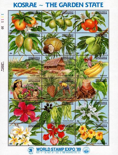 (image for) Micronesia 1989 Stamps Sheet Flowers & Fruits