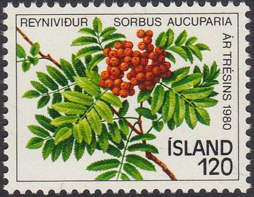 (image for) Iceland 1980 Stamp Year Of Tree