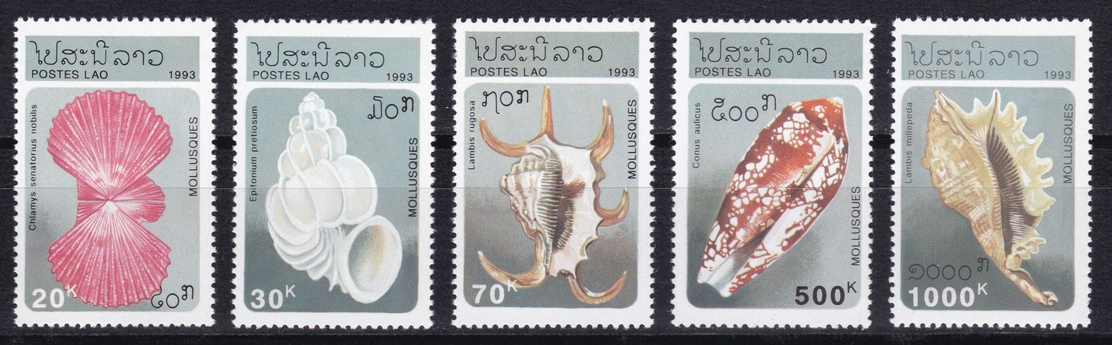 (image for) Laos 1993 Stamps Sea Shells MNH