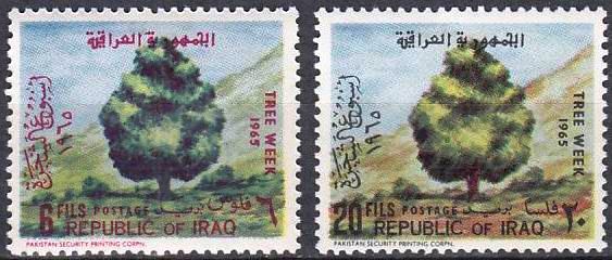 (image for) Iraq 1965 Stamps Tree Week MNH