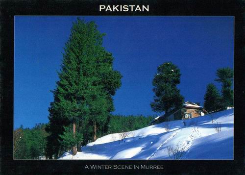 (image for) Pakistan Beautiful Postcard Murree In Winter