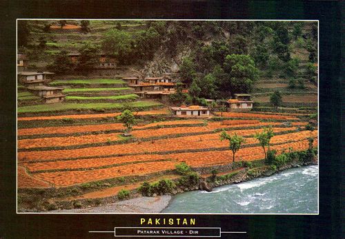 (image for) Pakistan Beautiful Postcard Patarak Village Dir