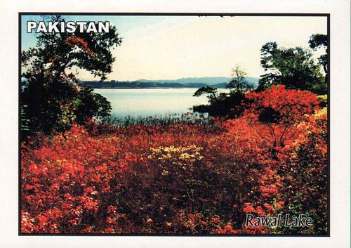 (image for) Pakistan Beautiful Postcard Rawal Lake