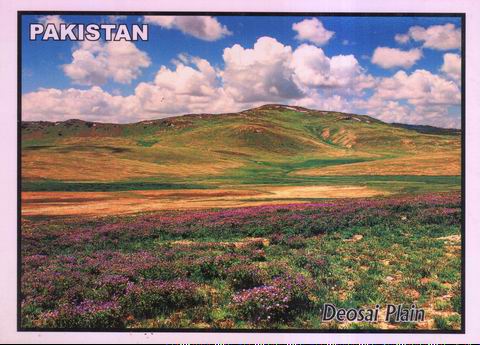 (image for) Pakistan Beautiful Postcard Deosai Plain