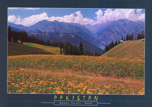 (image for) Pakistan Beautiful Postcard Deosai Plain