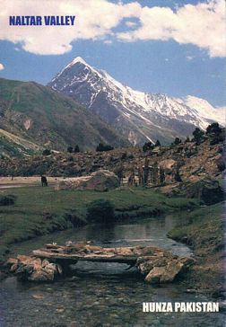 (image for) Pakistan Beautiful Postcard Nalter Valley