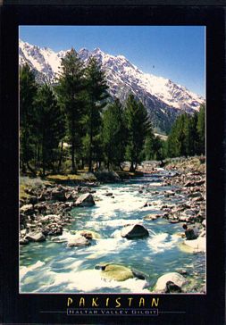 (image for) Pakistan Beautiful Postcard Nalter Valley