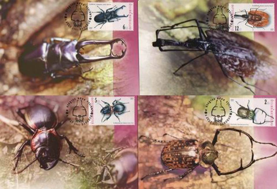 (image for) Thailand 2001 Maxi Cards Insects