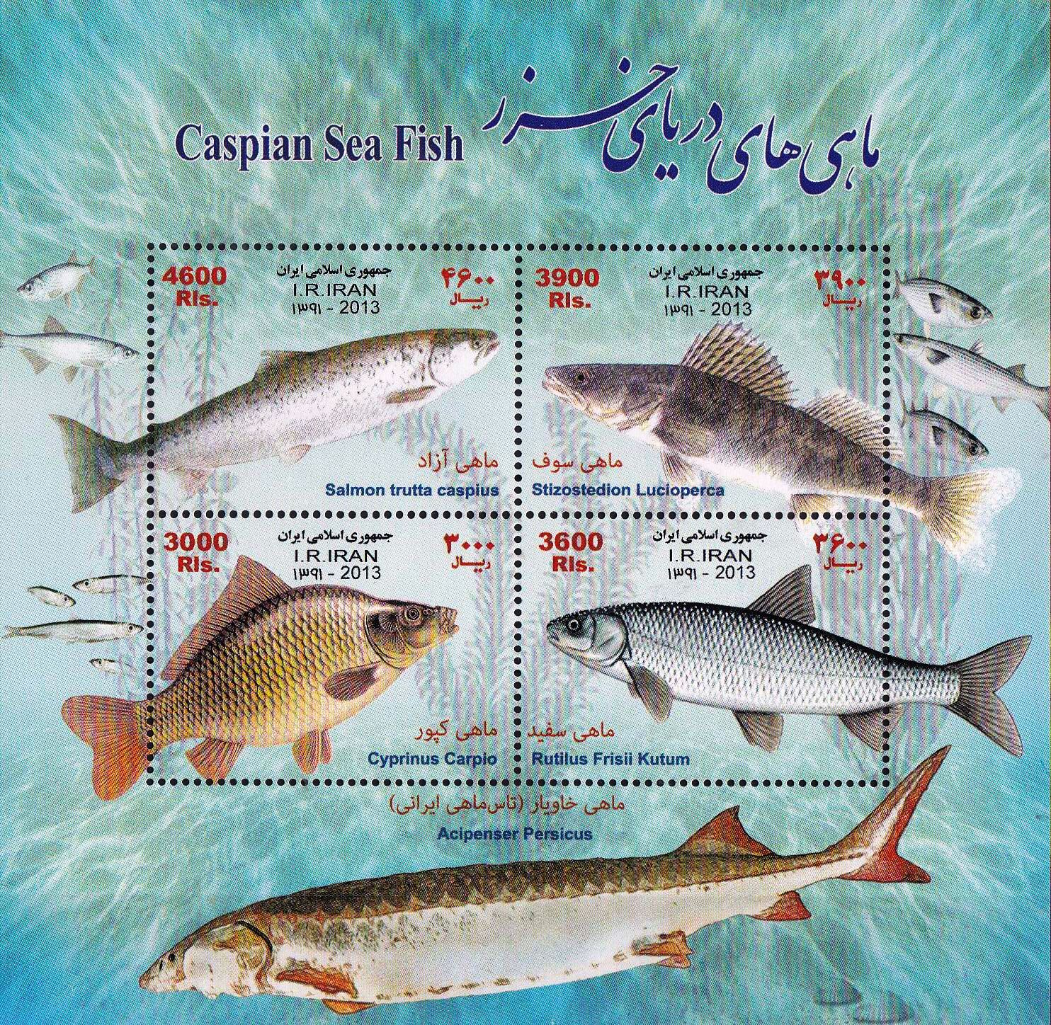 (image for) Iran 2013 S/Sheet Caspian Sea Fishes MNH