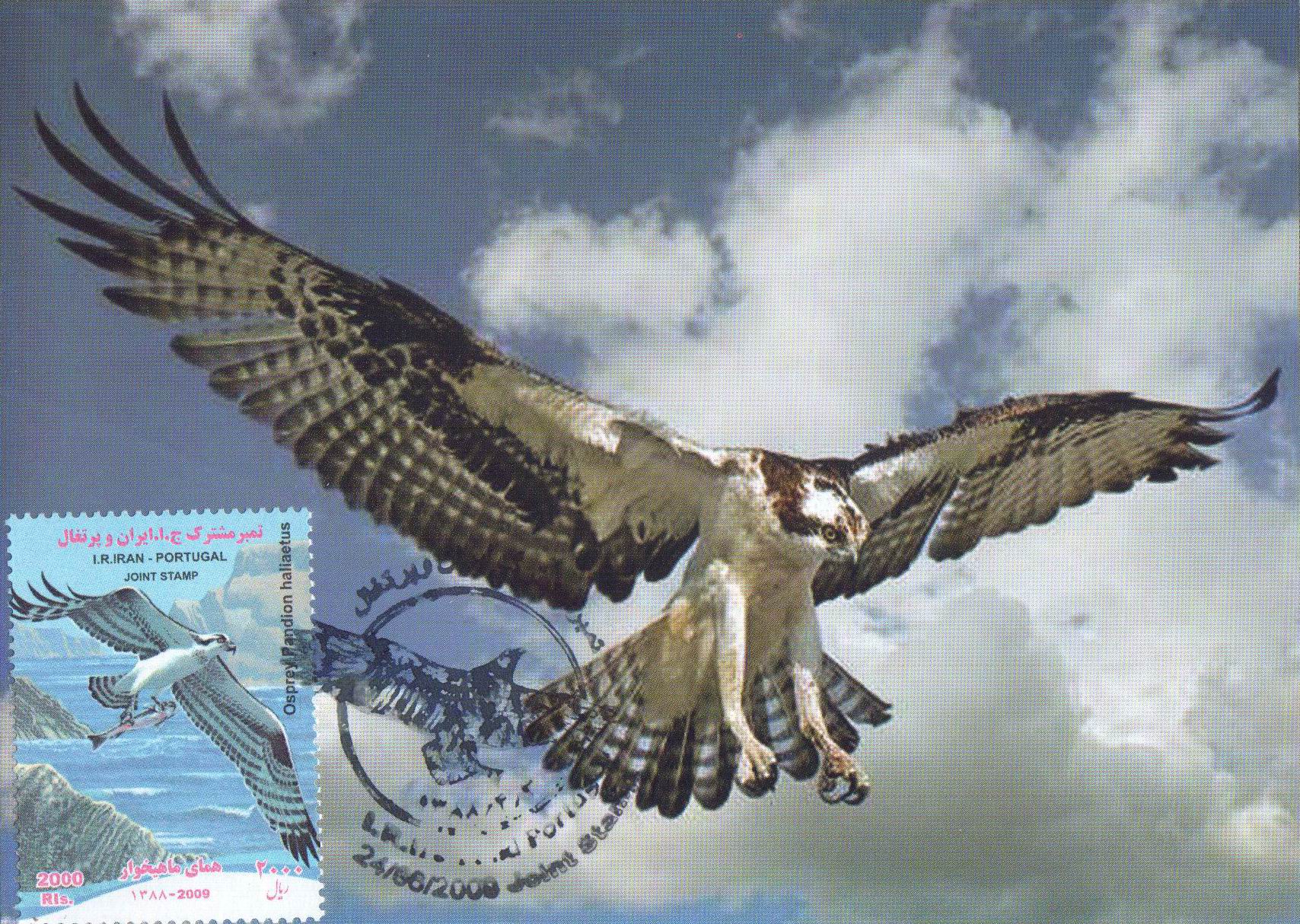 (image for) Iran 2009 Joint Issue Fdc MC White Tailed Eagle & Osprey Pandion