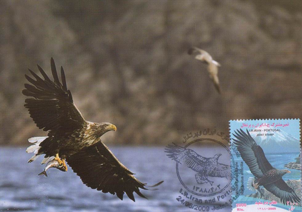 (image for) Iran 2009 Joint Issue Fdc MC White Tailed Eagle & Osprey Pandion